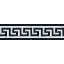 Bianco Carrara Honed Marble Greek Key Border (Carrara w/ Black)