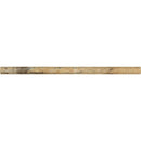Honed Philadelphia Travertine Pencil Liner