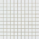1 x 1 Polished Thassos White Marble Mosaic Tile
