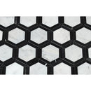 2 x 2 Honed Bianco Carrara Marble Vortex Hexagon Mosaic Tile (w/ Black)