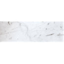FIELD TILE CARRARA 4X12 POLISHED