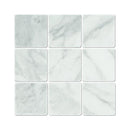 4 x 4 Tumbled Bianco Mare Marble Tile