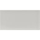 COLOR PALETTE SUGAR COOKIE GLOSS