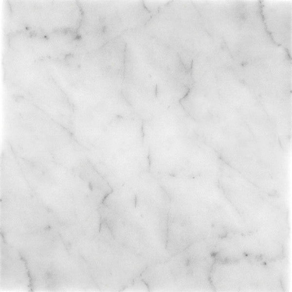 FIELD TILE CARRARA 12X12 HONED