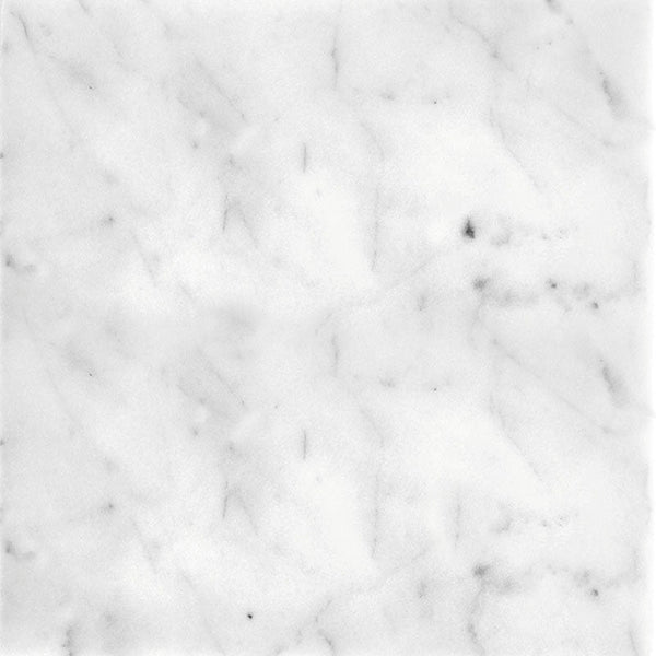 FIELD TILE CARRARA 12X12 POLISHED