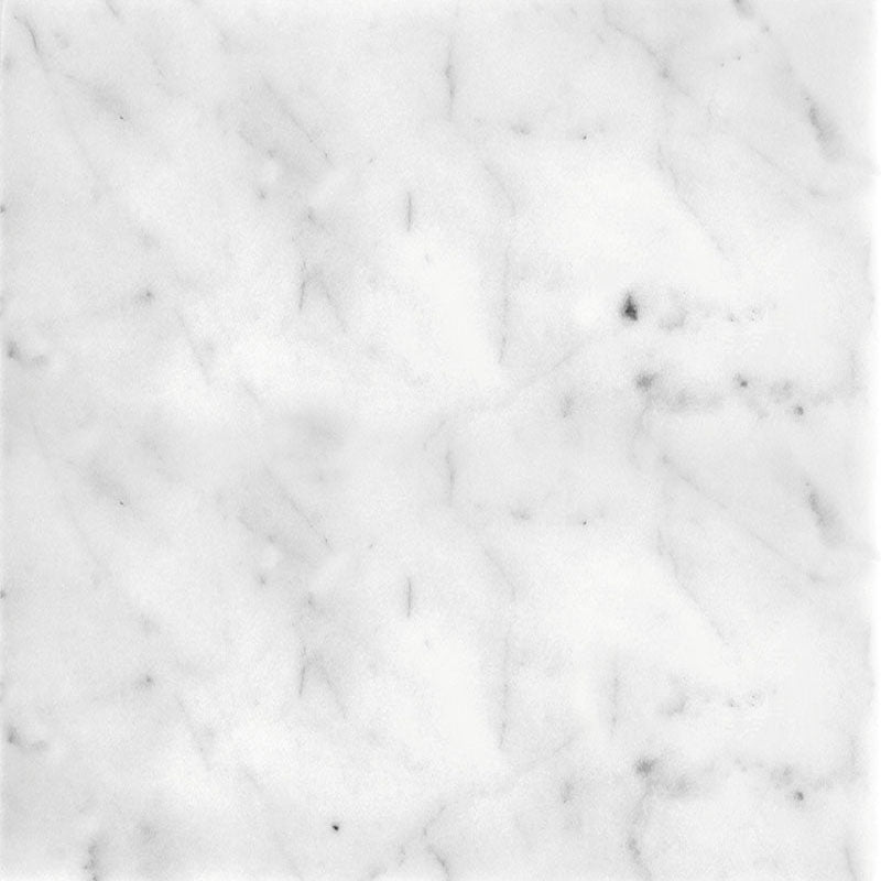 FIELD TILE CARRARA 12X12 POLISHED