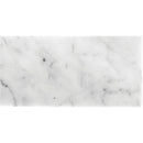 FIELD TILE CARRARA 12X24 HONED