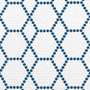 Costal Tulle Conllection