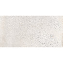 Catania 24x48 Honed Matte